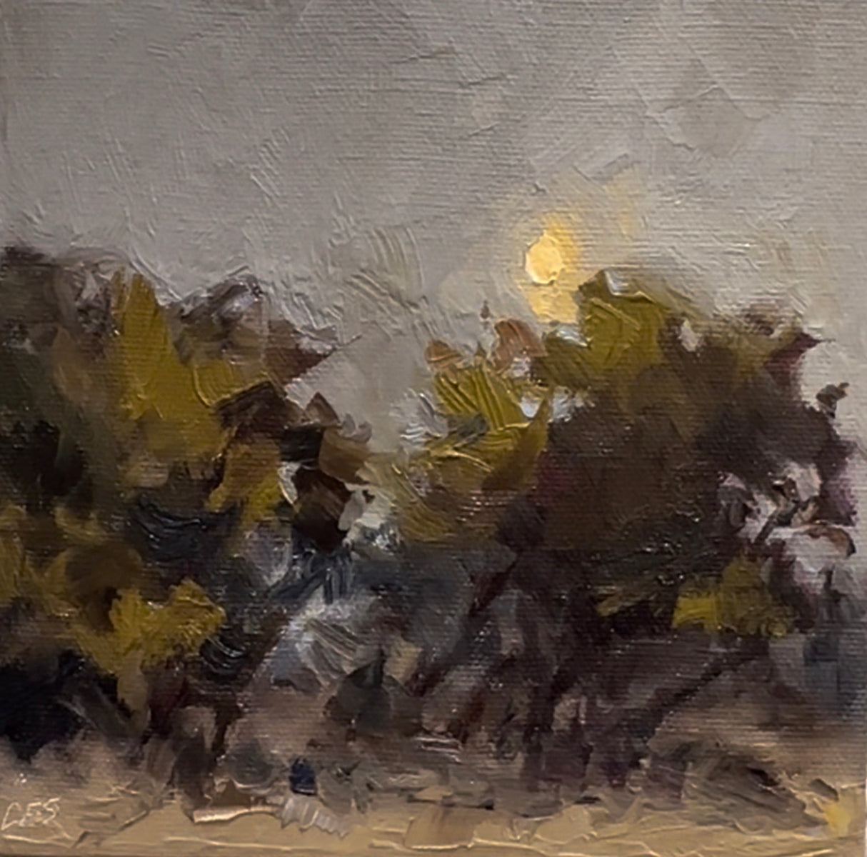 Day 4 - Waning Gibbous Moon