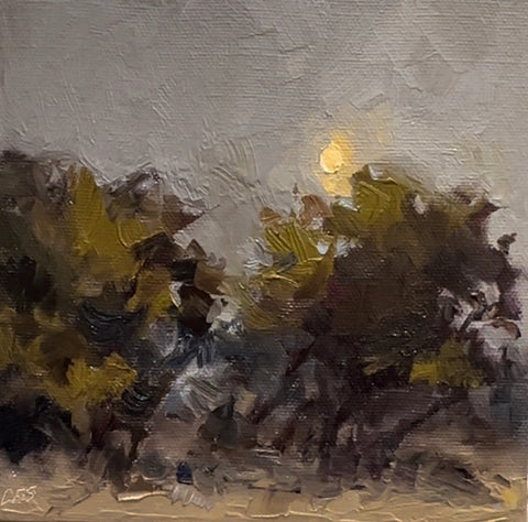 Day 4 - Waning Gibbous Moon