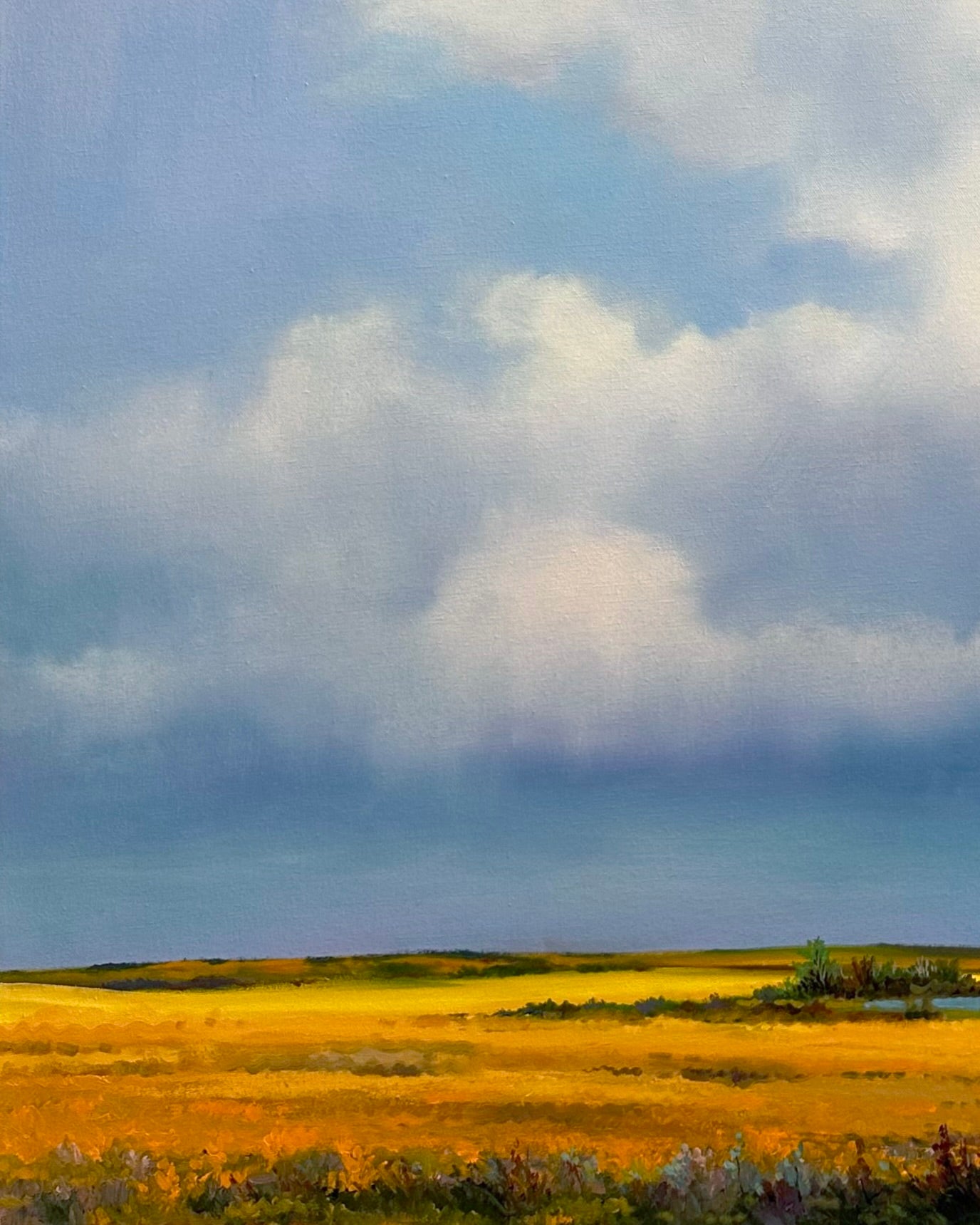 Prairie Land