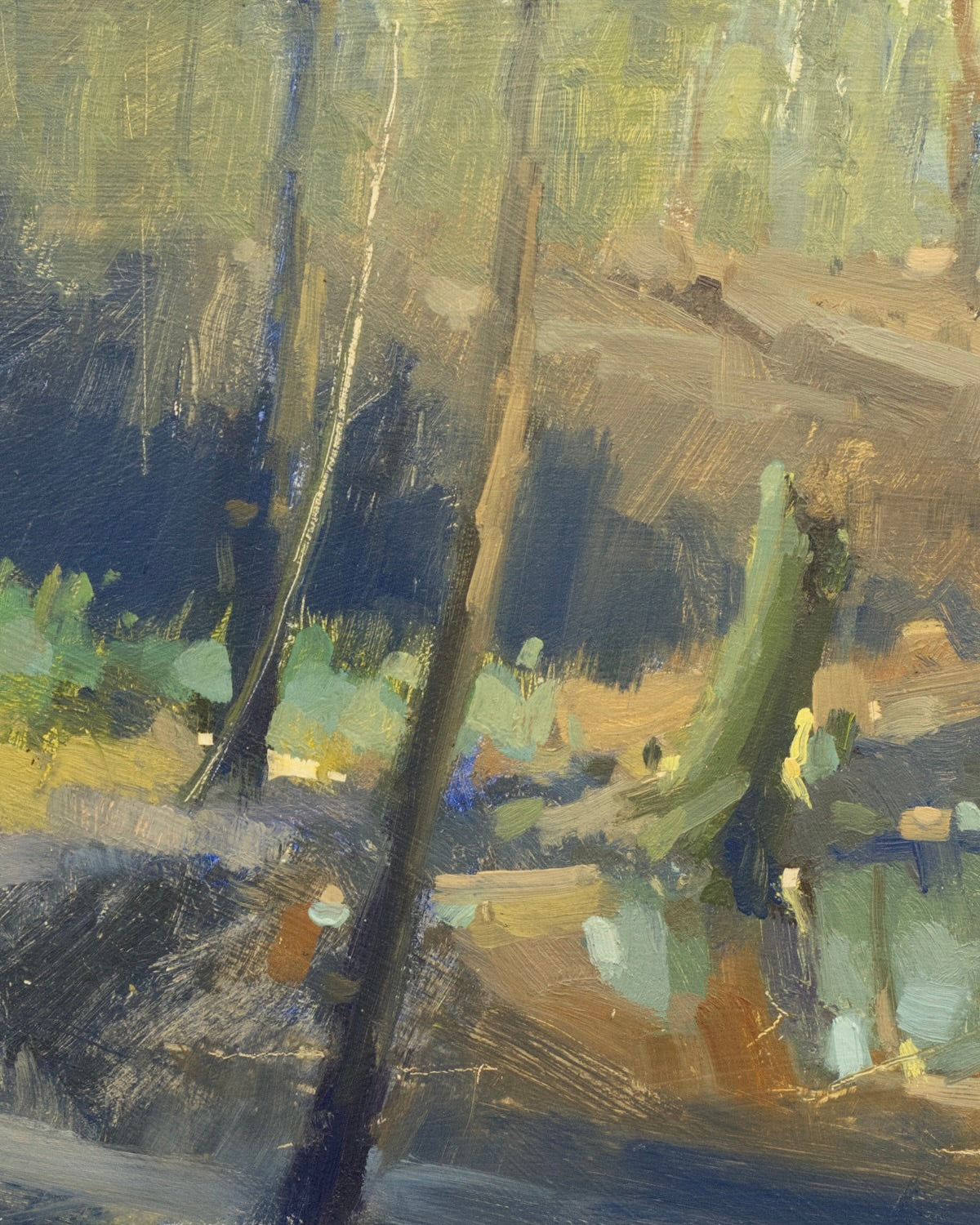 Glance Into The Forest