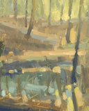 Glance Into The Forest