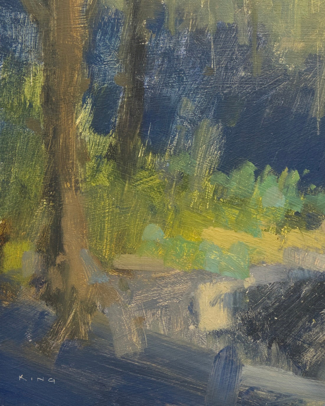 Glance Into The Forest