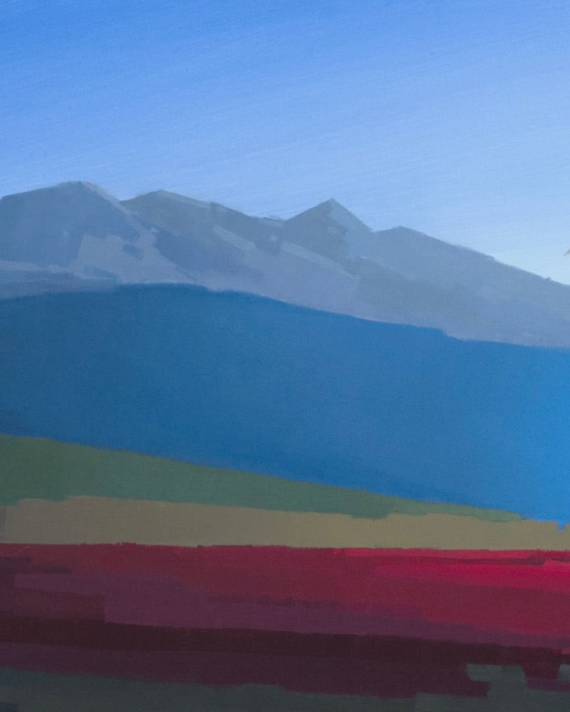 Beyond the Blueberry Grove