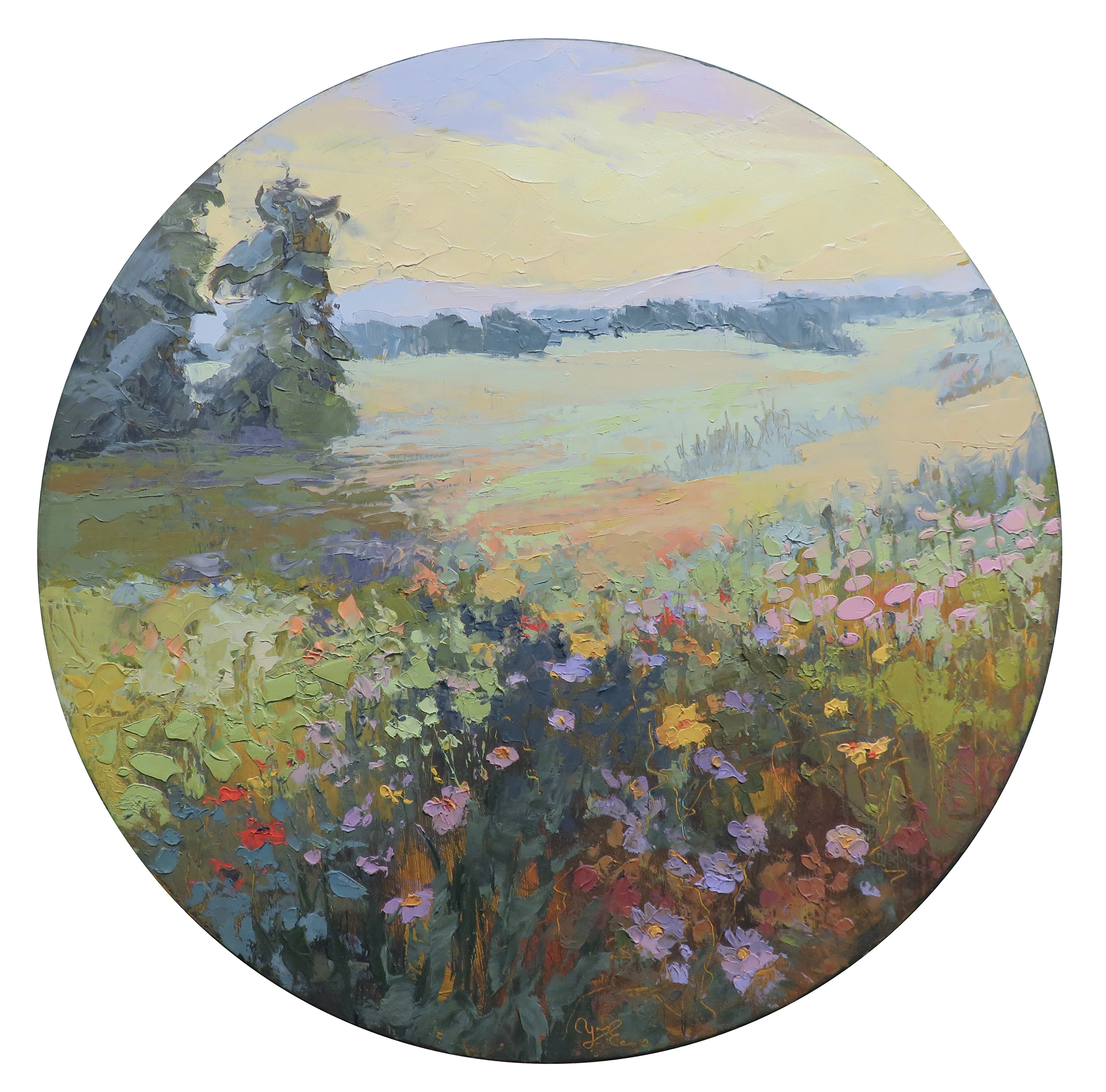 Morning of Quiet Wonders