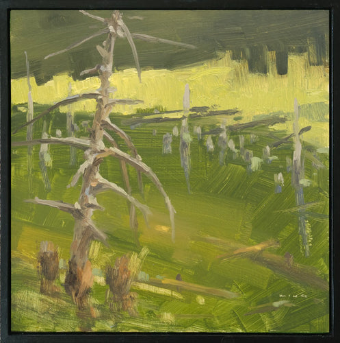 Old Pine