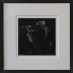 Rolleiflex B/W Lily Photo
