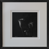 Rolleiflex B/W Lily Photo