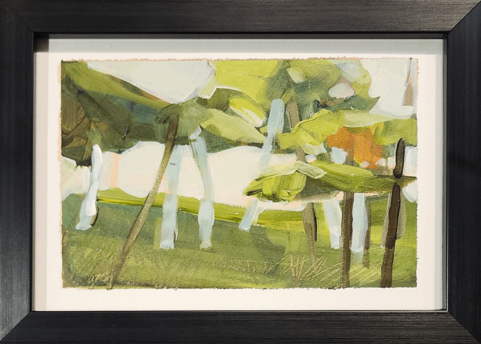 Landscape 37