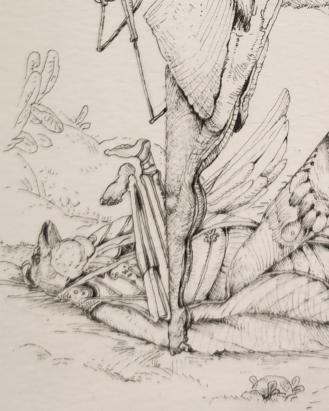 Drawing 3213