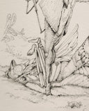 Drawing 3213