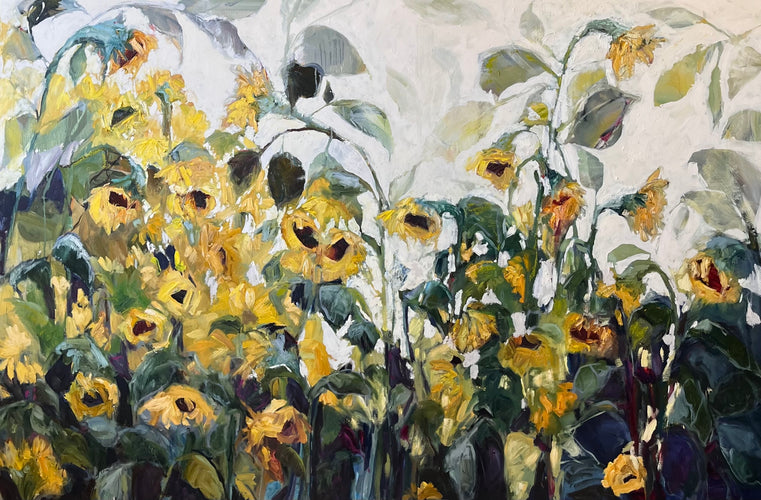Calling all Sunshine