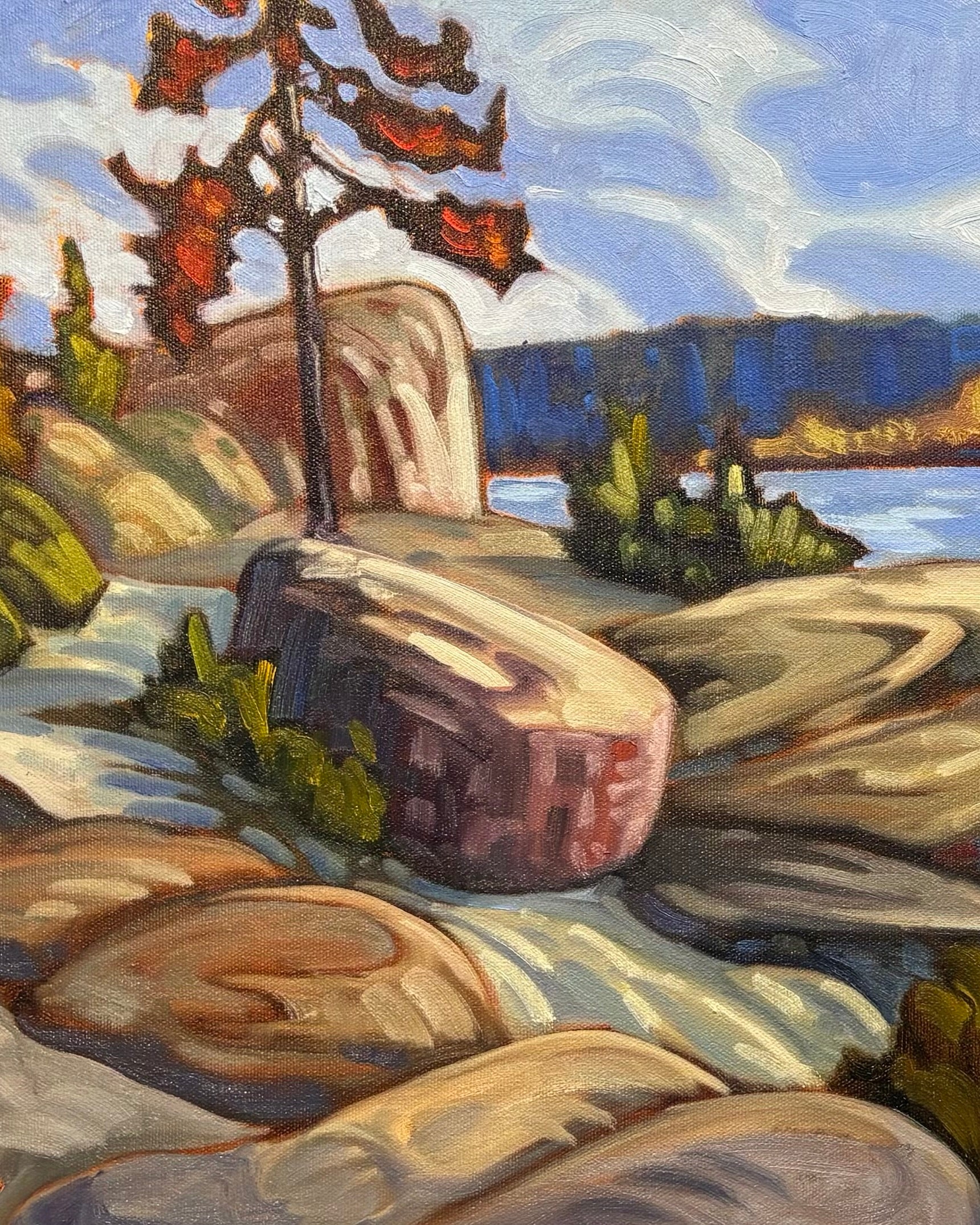 After the Fire, Horseshoe Lake Jasper