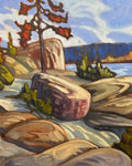 After the Fire, Horseshoe Lake Jasper