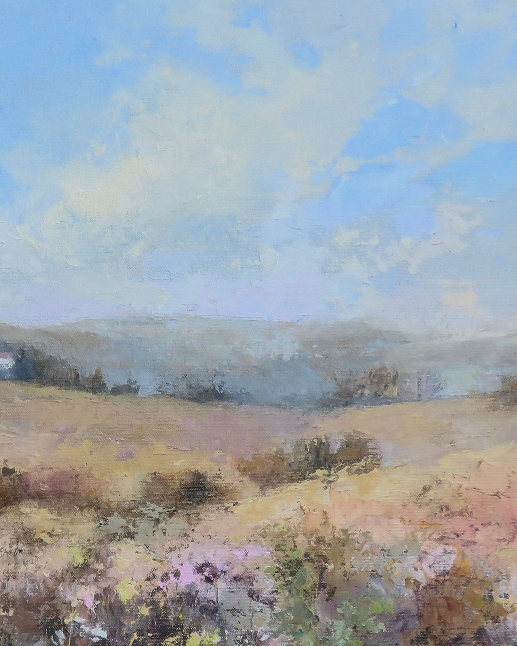 A Breeze of Wildflowers