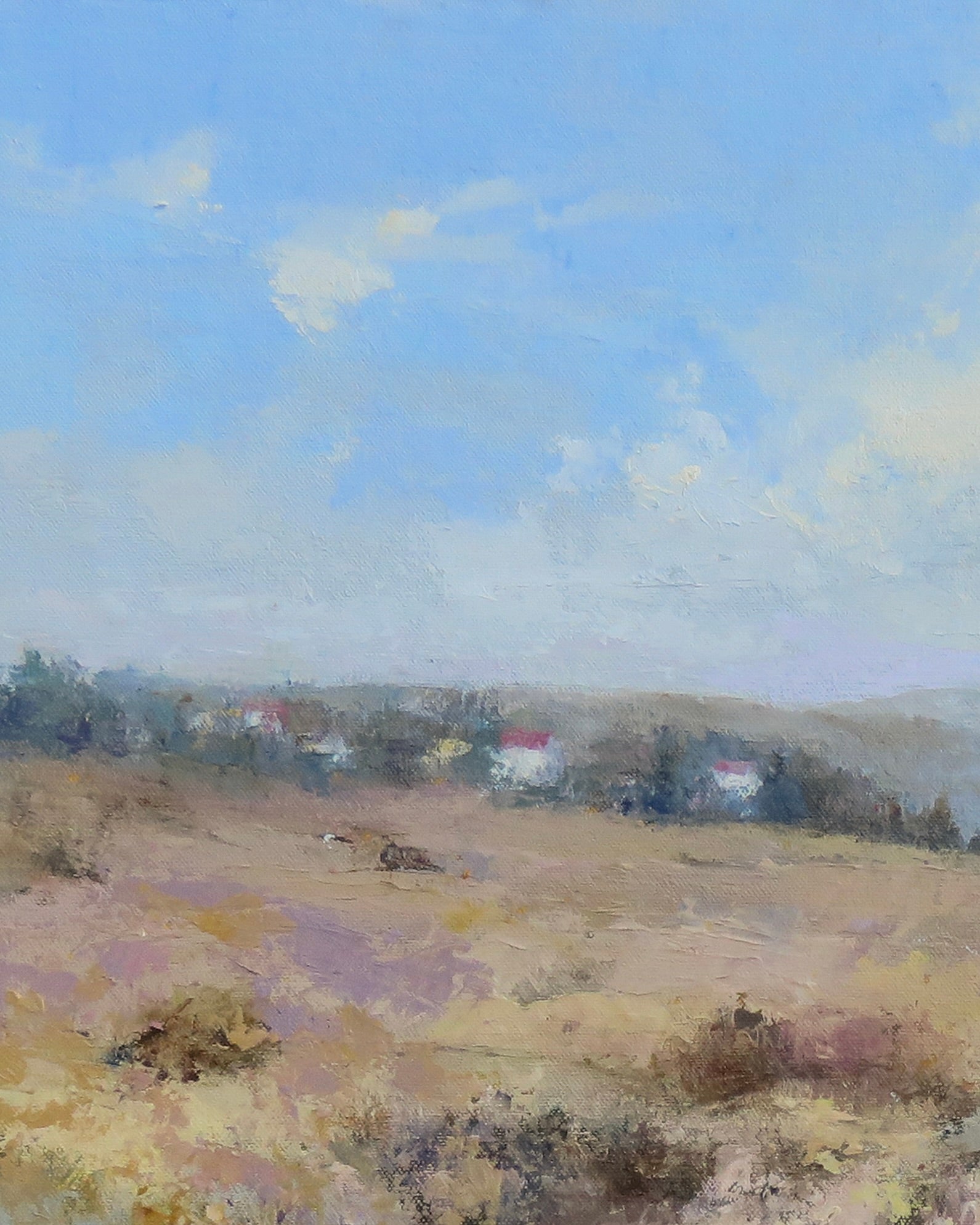 A Breeze of Wildflowers