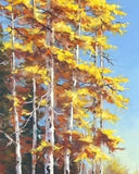 Painted Forest
