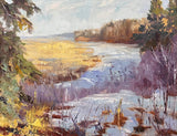 Turtle Lake Sanctuary