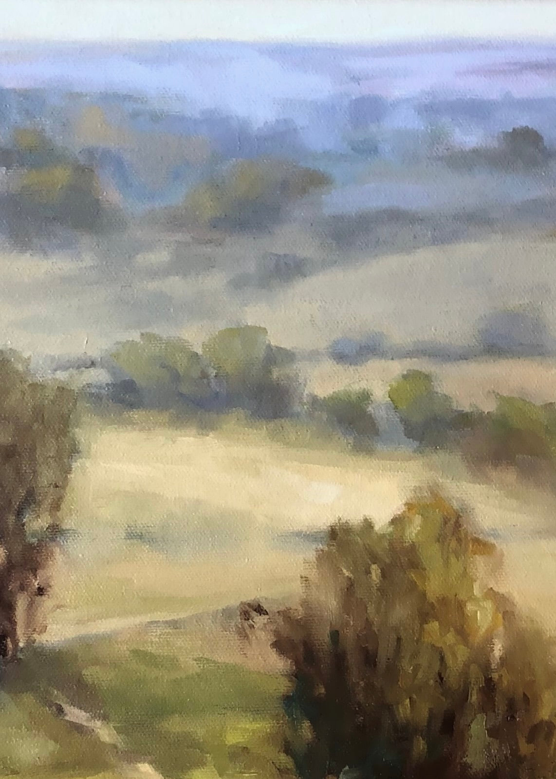 View from the Top of the Hill 🔴