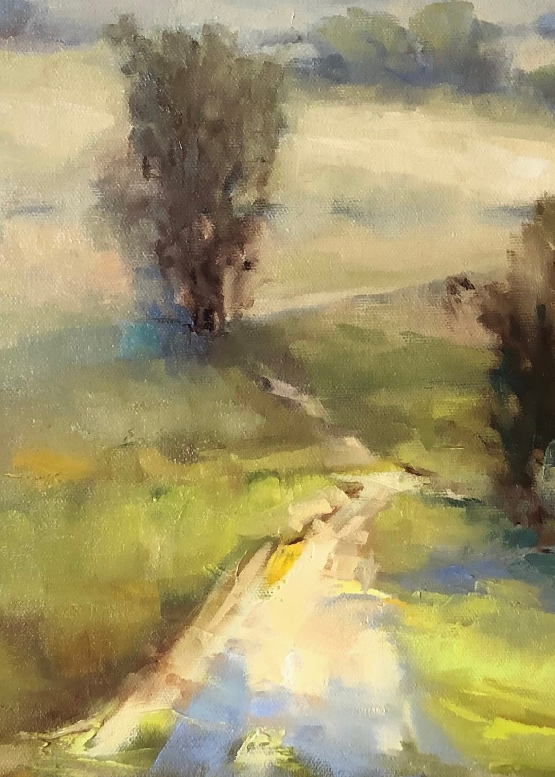 View from the Top of the Hill 🔴