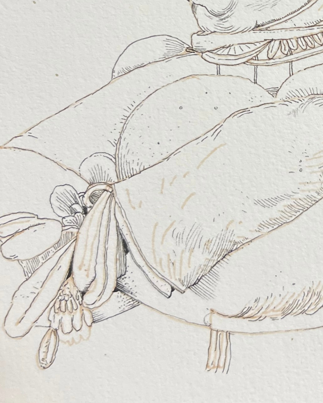 Drawing 3204