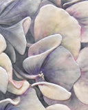 Beyond the Bloom