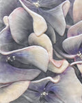 Beyond the Bloom