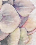 Beyond the Bloom