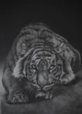 Invicta