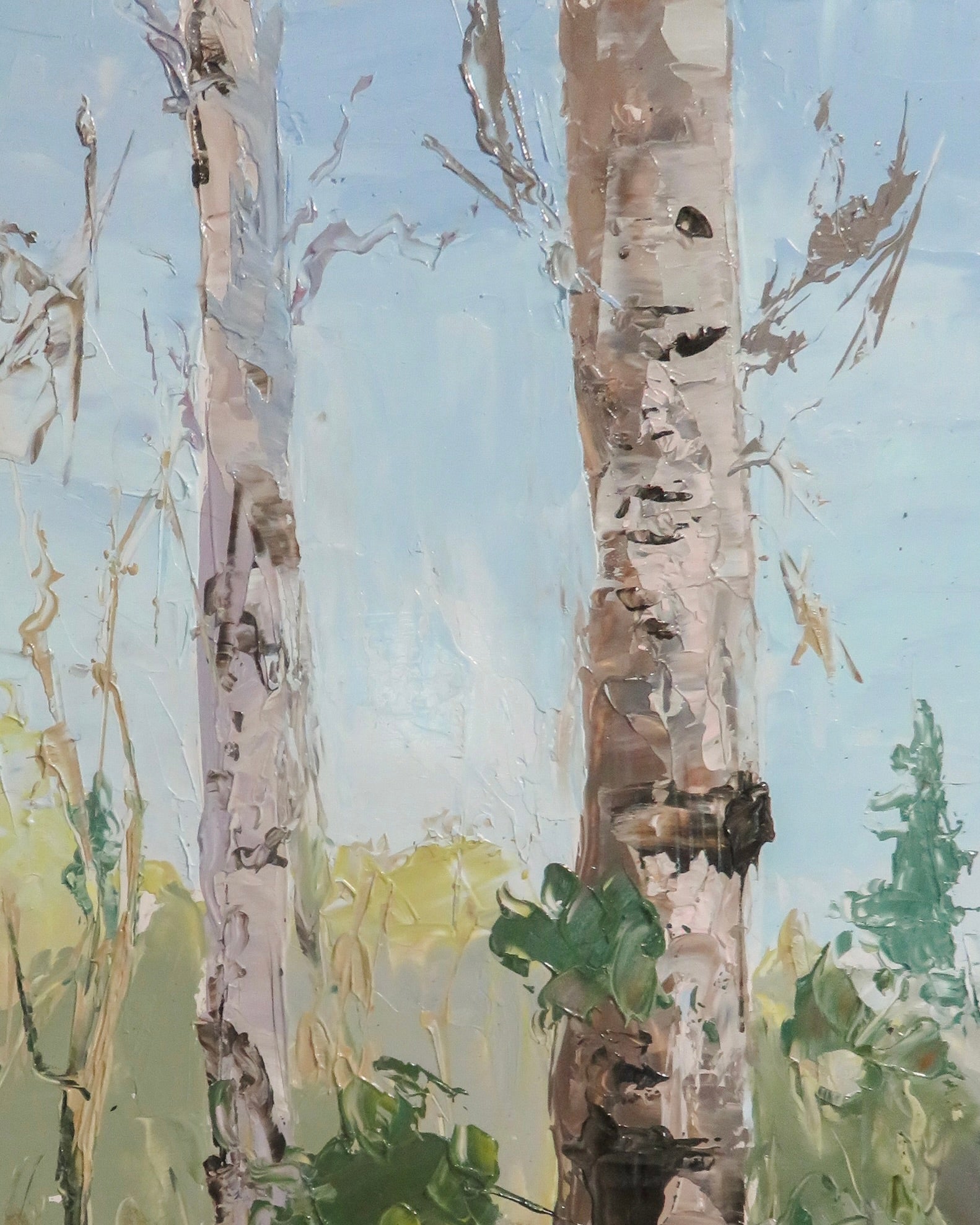 Aspen Study