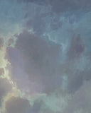 Dreamy Prairie Light