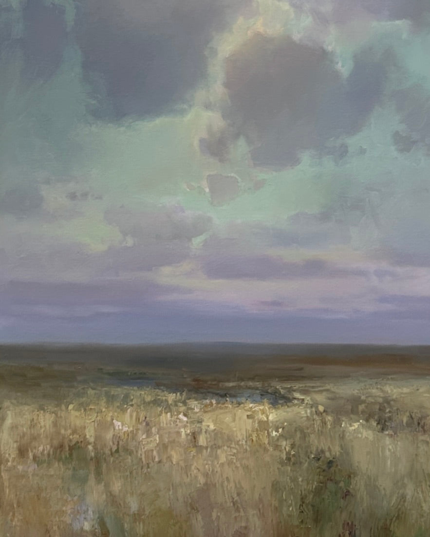 Dreamy Prairie Light