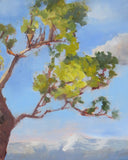 Tree Study 🔴