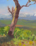 Tree Study 🔴