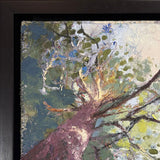 Dreams in the Canopy