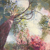 Dreams in the Canopy