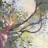 Dreams in the Canopy