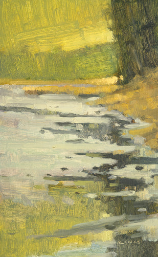 A Marsh's Quietude