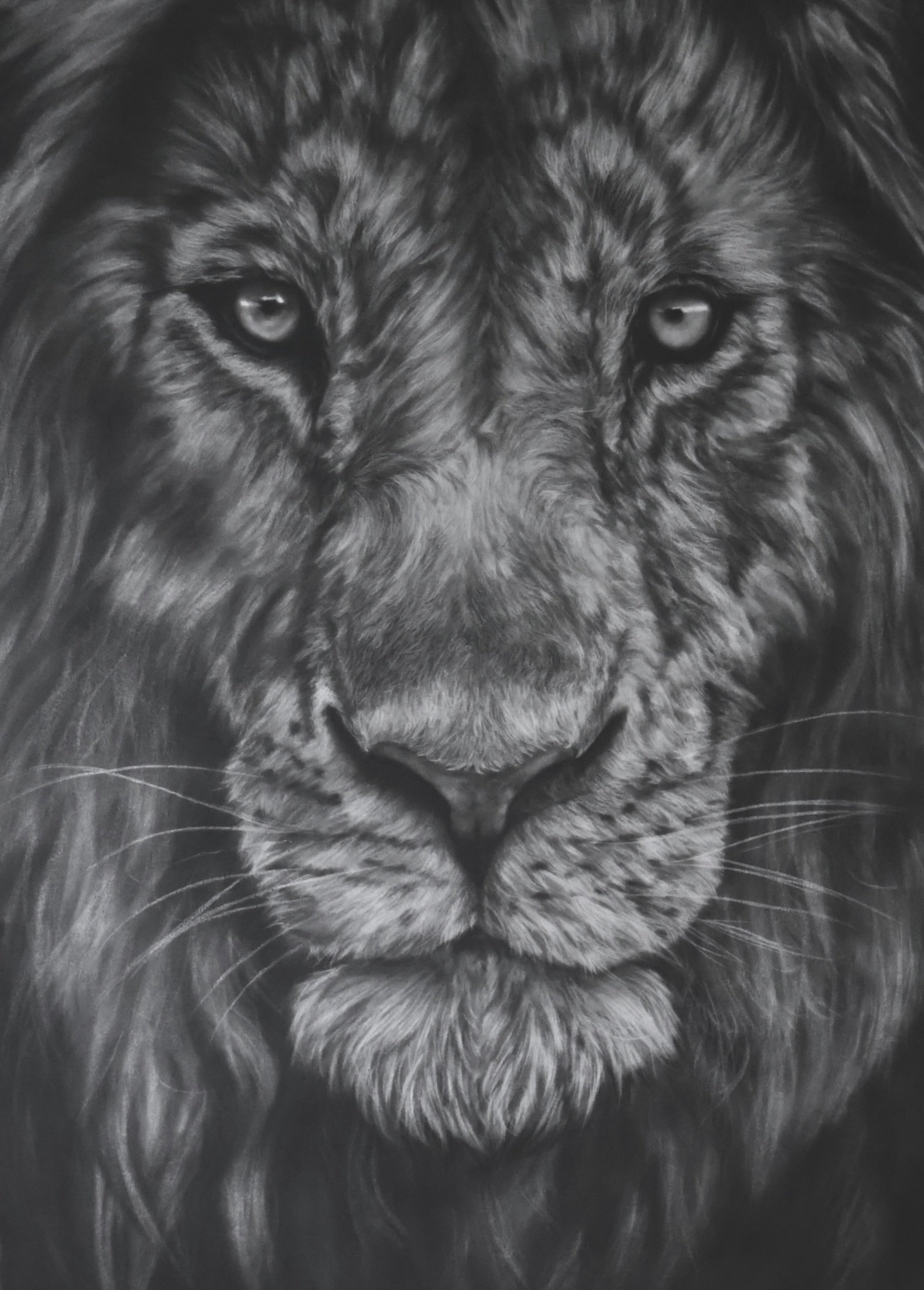 Majesty