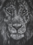 Majesty
