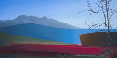 Beyond the Blueberry Grove