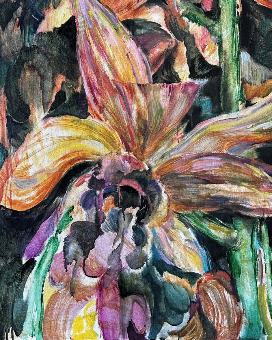 Orchid Beauty
