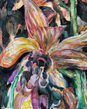 Orchid Beauty