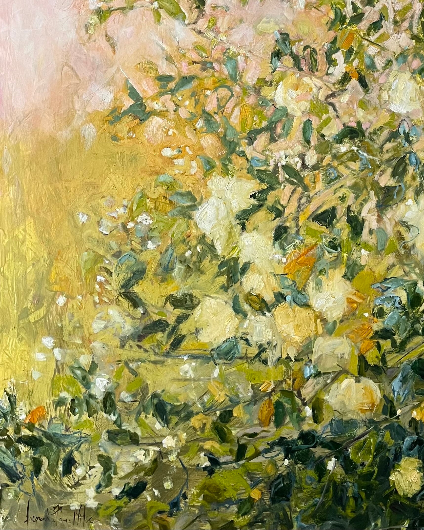 Romancing the Rose