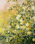 Romancing the Rose