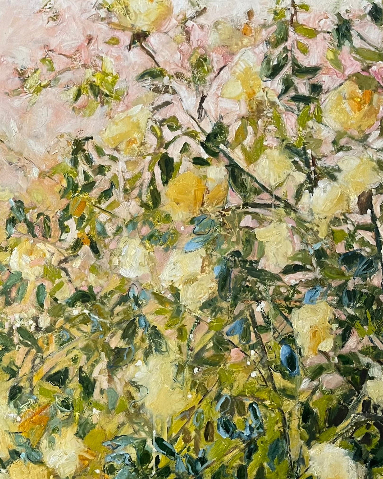 Romancing the Rose
