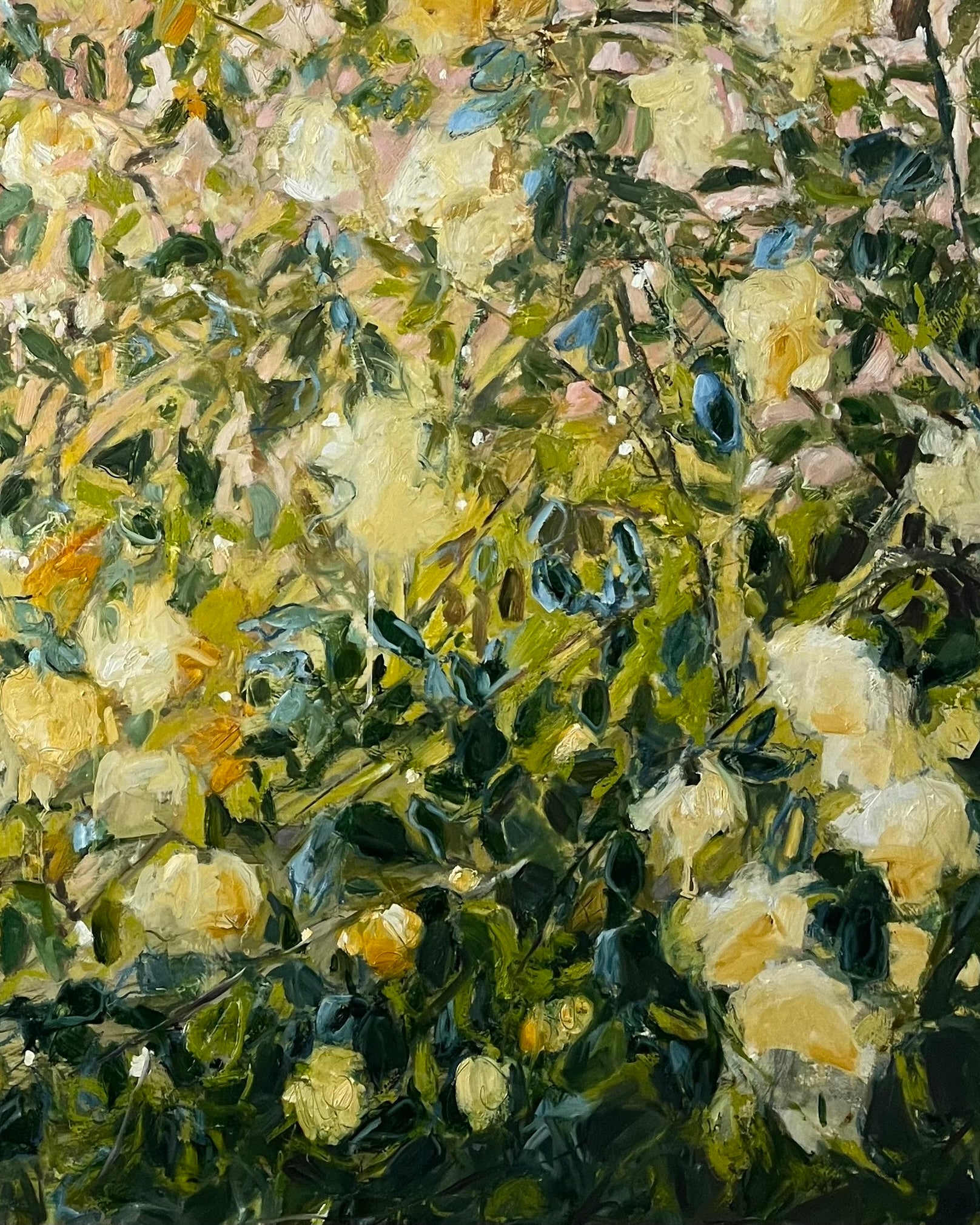 Romancing the Rose