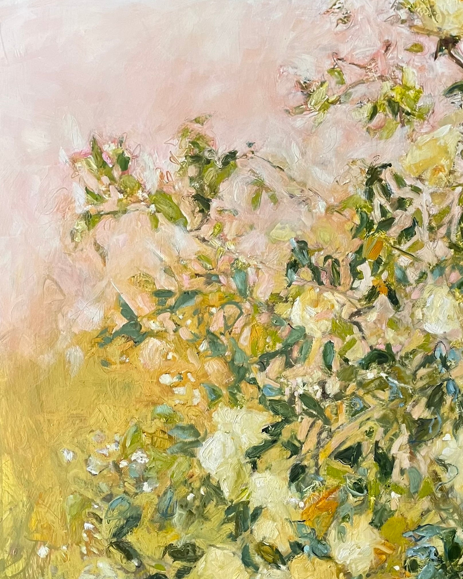Romancing the Rose