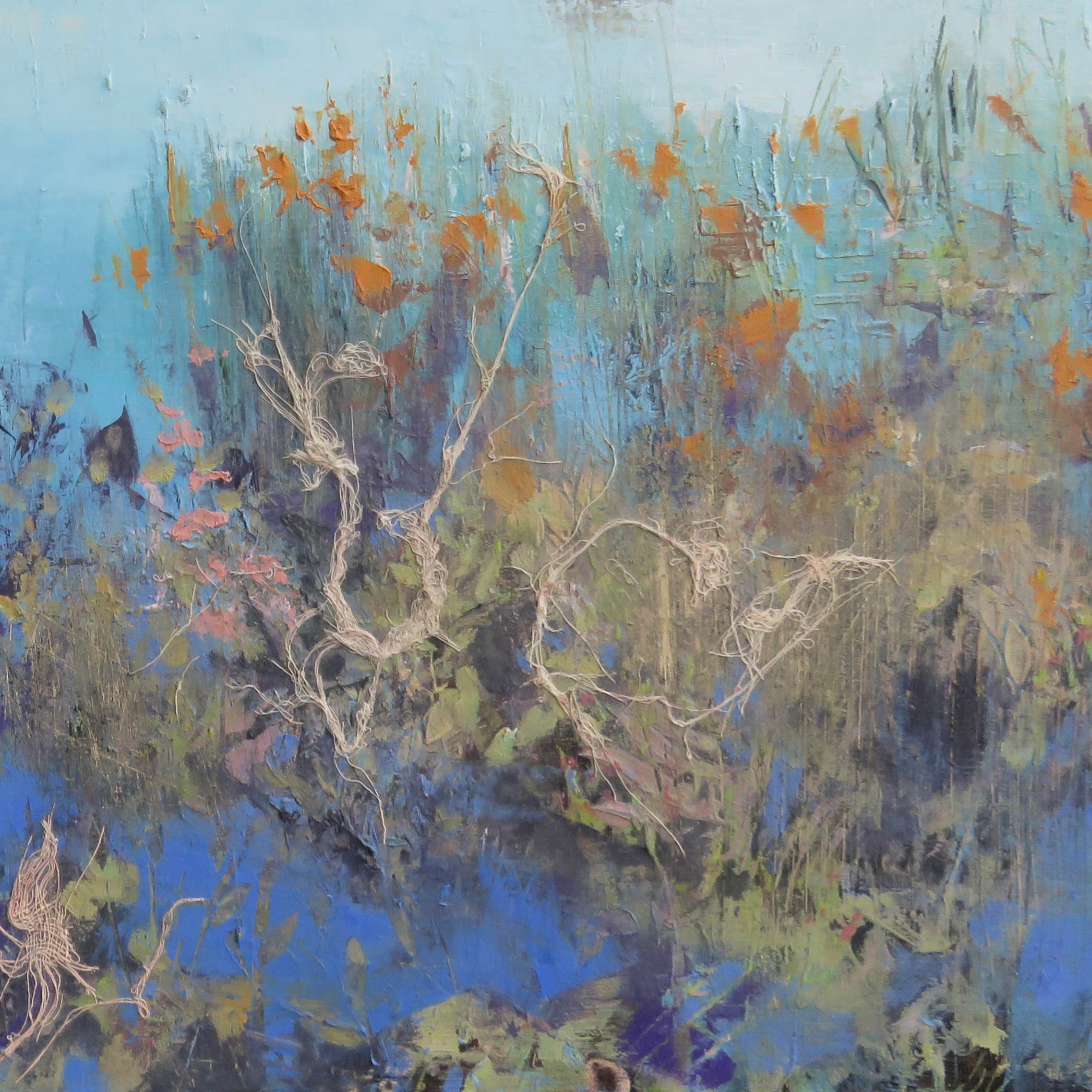 Marsh Wonders