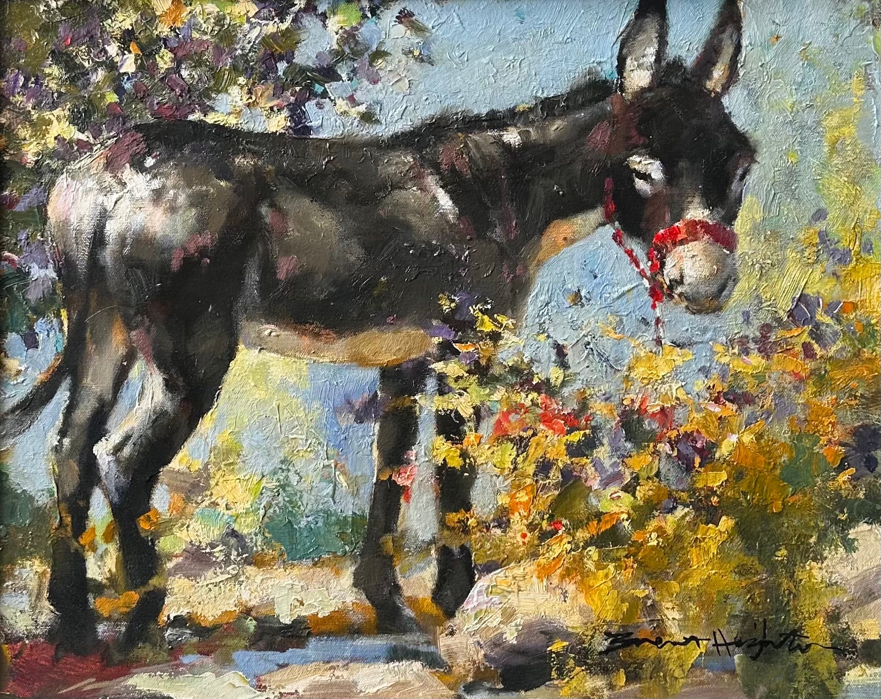 Donkey