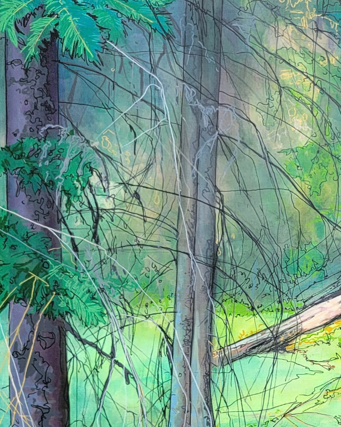 Where Shadows Breathe